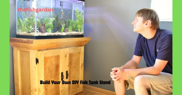 Build Your Own DIY Fish Tank Stand
