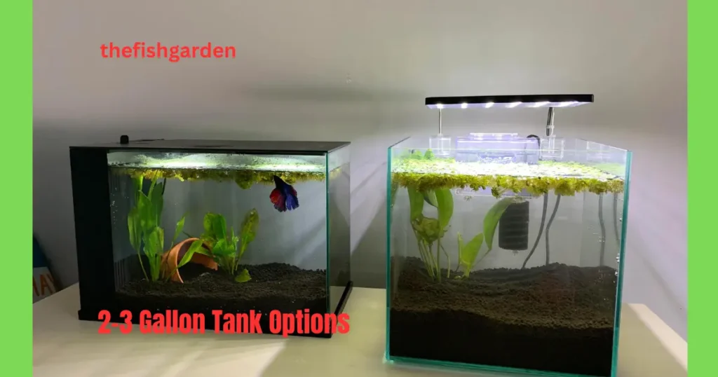 2-3 Gallon Tank Options