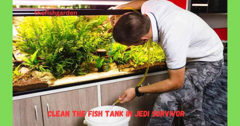 Clean the Fish Tank in Jedi Survivor