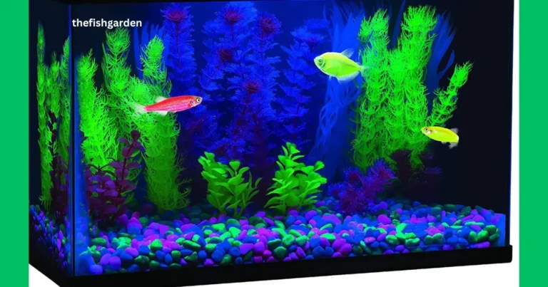Blue Light in a Fish Tank Do